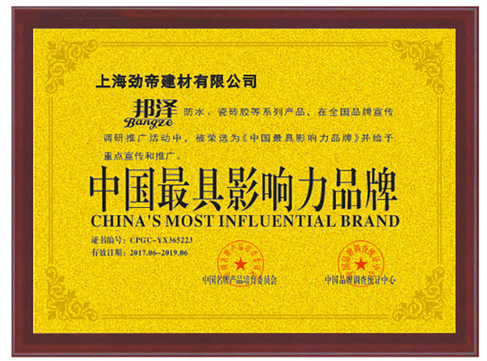 中國(guó)最具影響力品牌